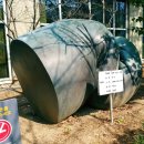 자연+인간+우연 이미지