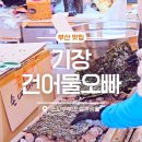 기장제1공영주차장 | 부산건어물 찐맛집 기장건어물오빠, 직접 키운 미역과 맥반석 즉석구이 김! 택배 주문 가능