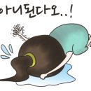 쌍둥이건강원 - 홍성군 의사로43번길 9 | 쌍둥이건강원