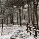 우장산공원 이미지