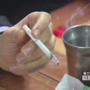 음식점·술집 오늘부터 금연 ‘과태료 10만 원’ 이미지