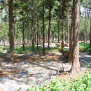 365카정비나라 이미지