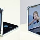 플렉스 이미지