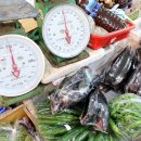 금광시장 이미지