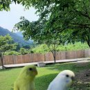 봉수농장 이미지