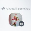 채송;화 이미지