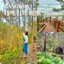 태백로-1 | 강원도 1박2일 여행지 추천 태백 삼척 여행 코스 감탄로드