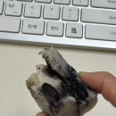 민준농장 | 10월 1주