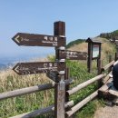 1064 | 1064)노상산갈림길 (울산시울주군 상북면~삼동면) 낙동정맥17(배내고개~솥발산공원)