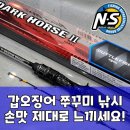 엔에스 다크호스2 커틀피쉬, 쭈꾸미 갑오징어 낚시대 핵심 분석