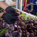 중동007 | [모로코 레코드샵 탐방기 2] 아가디르 - Records Zaman