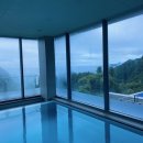 더레지아A 이미지