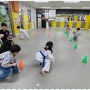 국가대표멘토태권도 이미지