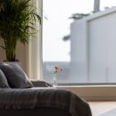 일리스테이 이미지