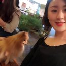 (주)명성포장 이미지