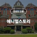 해바라기어린이집마당 | 강릉 애니멀스토리 곤충 동물 파충류 조류 체험 입장료 할인 예약 주차 후기 실내 아이랑 가볼만한곳