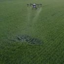 친환경 김포 이미지