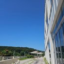 마리앤케이크 | 영종도 애견동반 카페 시루앤케이크 다녀온 후기