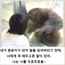 레전드학원 - 군포시 광정로 70 | 레전드학원