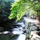 자연밸리 관광농원 이미지