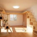 탐나는 고양이 이미지