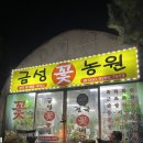 금성아파트앞 | 오산꽃집 금성꽃농원 꽃다발 후기