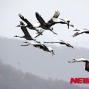 뚝섬한강공원-58 이미지