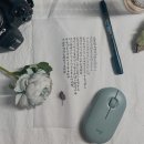 빛깔캘리그라피 이미지