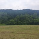 마장리 목장 이미지