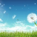 민들레하나한의원 이미지