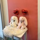 puppy lounge | 경산 중산동 강아지미용 퍼피라운지/ 카페및미용실 퍼피라운지