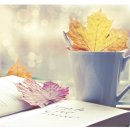 공립성모어린이집 이미지