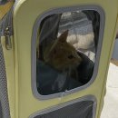 24시청담우리동물병원 이미지