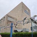 67 | [인천집] - 삼치골목 비오는날 막걸리 실패