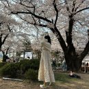 종로-연건-종로-연-198 | 세상이 점점 채워지는 싱그러운 4월
