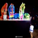 파파보니