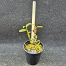 지일농장 이미지