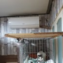 형제그린 이미지