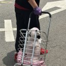 미용특공대 이미지