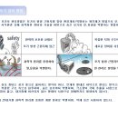 엘존 이미지