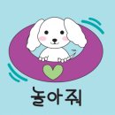 밸런스독 이미지