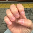 네일;피오리