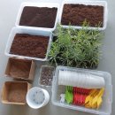 백석4리 이미지