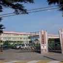 성덕초교 이미지