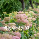 일부1리 | 중부권 최대 수국축제! 공주 유구색동수국정원 실시간 수국 개화상태 가는방법 &amp; 주차 솔직후기