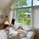 풀빗 | 1박이 아쉬운 유럽 감성 끝판왕 제주 서쪽 감성 숙소, 풀빗 후기