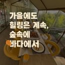 바다의 숲속 | 🌿 우이동 숲속에 바다 후기｜도심 속 계곡 감성 맛집에서 해물찜·삼겹살로 단체 힐링 타임