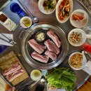 회천2동 무료경로식당 | 서울근교 화성 율암온천 숯가마찜질방 주차 이용요금 준비물 후기