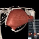 엘리트 에듀짐 이미지