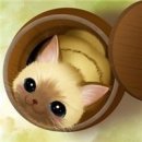 푸른향기 이미지